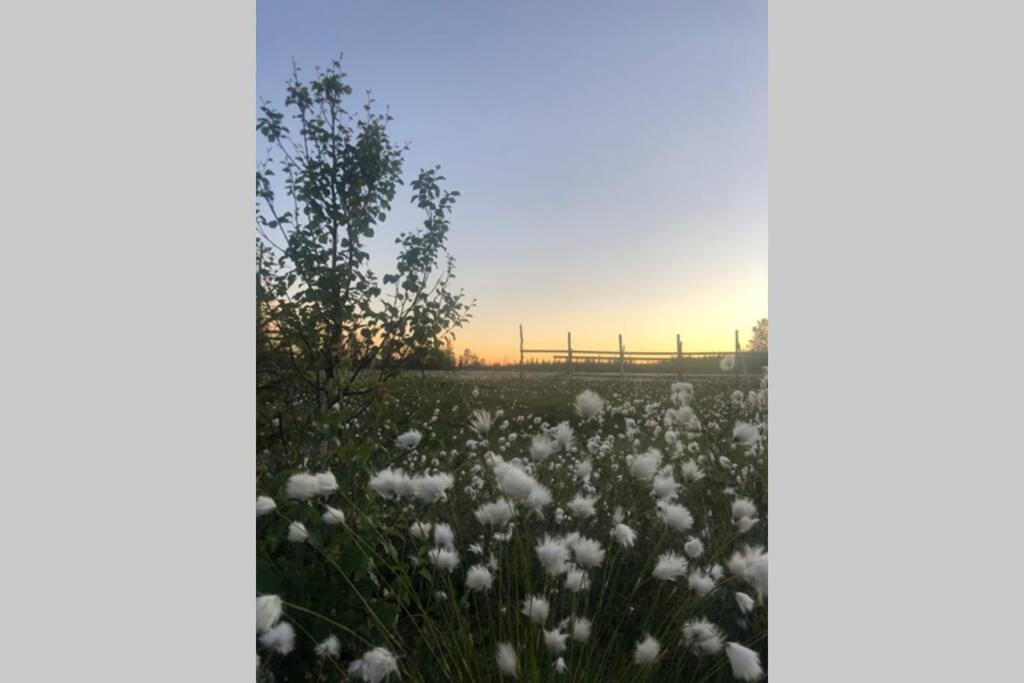 Baggarden Fjaellby, Messlingenヴィラ エクステリア 写真