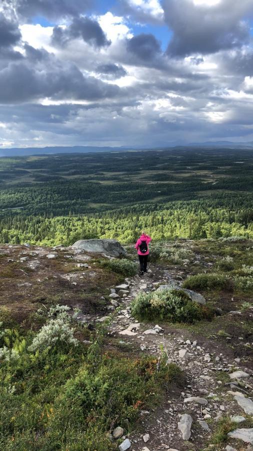 Baggarden Fjaellby, Messlingenヴィラ エクステリア 写真